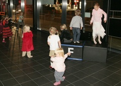 IMG 7956