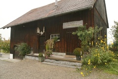 IMG 7742