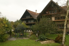 IMG 7813