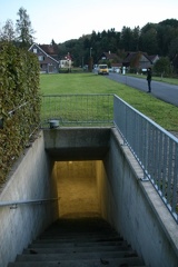 IMG 7906
