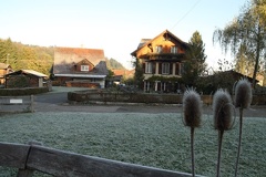 IMG 7915