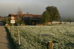 IMG 7931