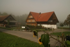 IMG 7948