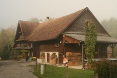 IMG 7950