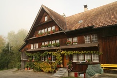 IMG 7951